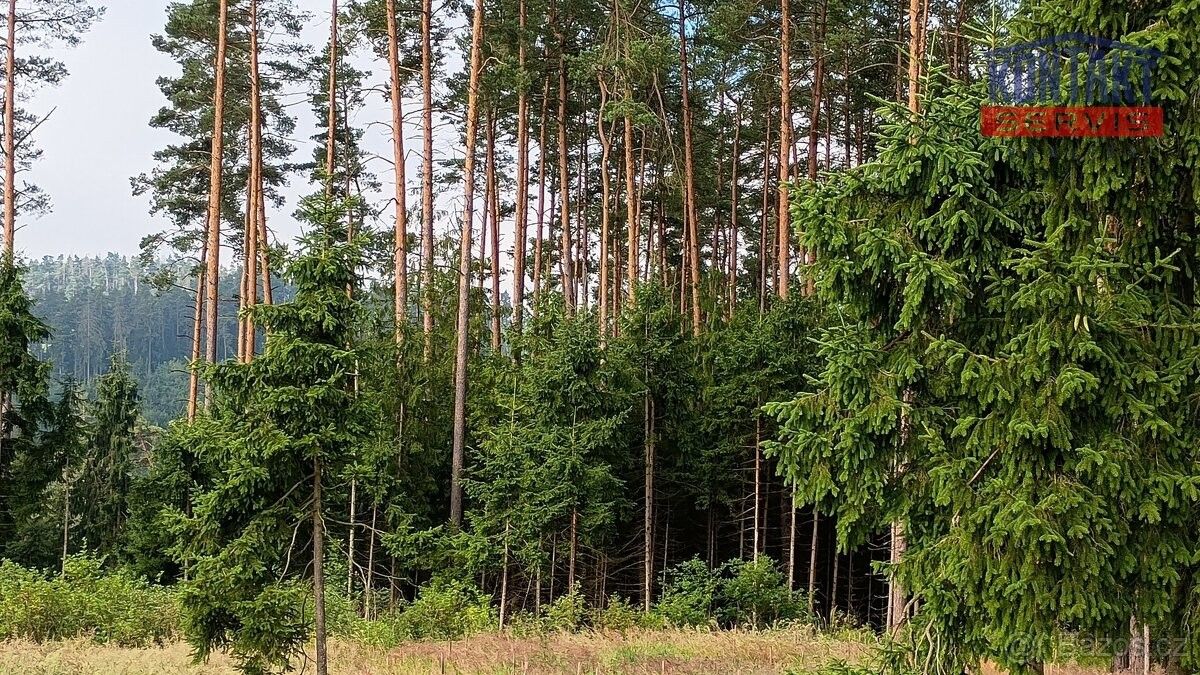 Prodej pozemek pro bydlení - Humpolec, 396 01 - 5