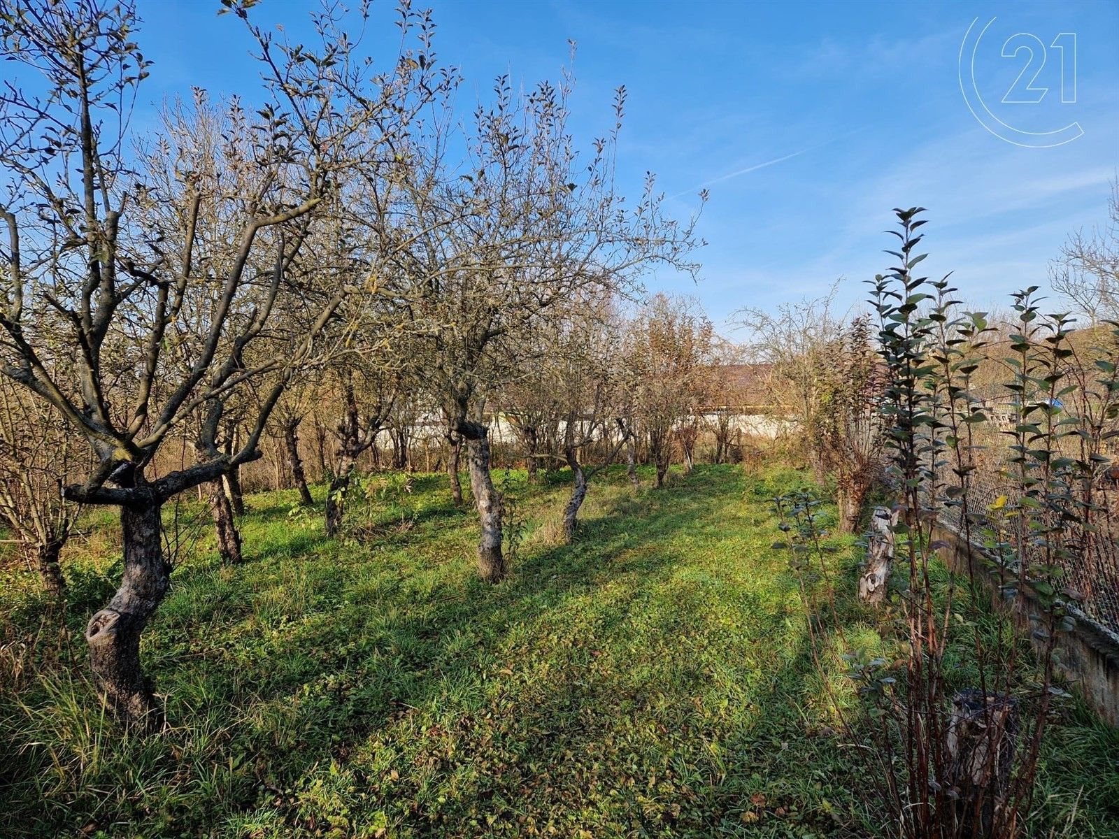 Pozemky pro bydlení, Čebín