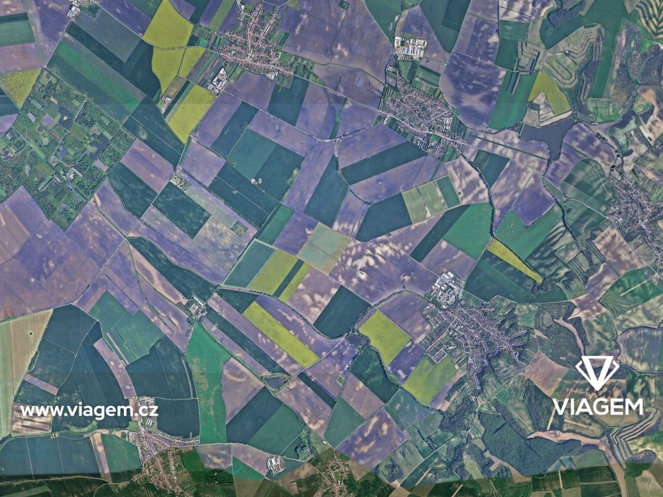 Zemědělský pozemek · Šitbořice, okres Břeclav, Jihomoravský kraj - 3
