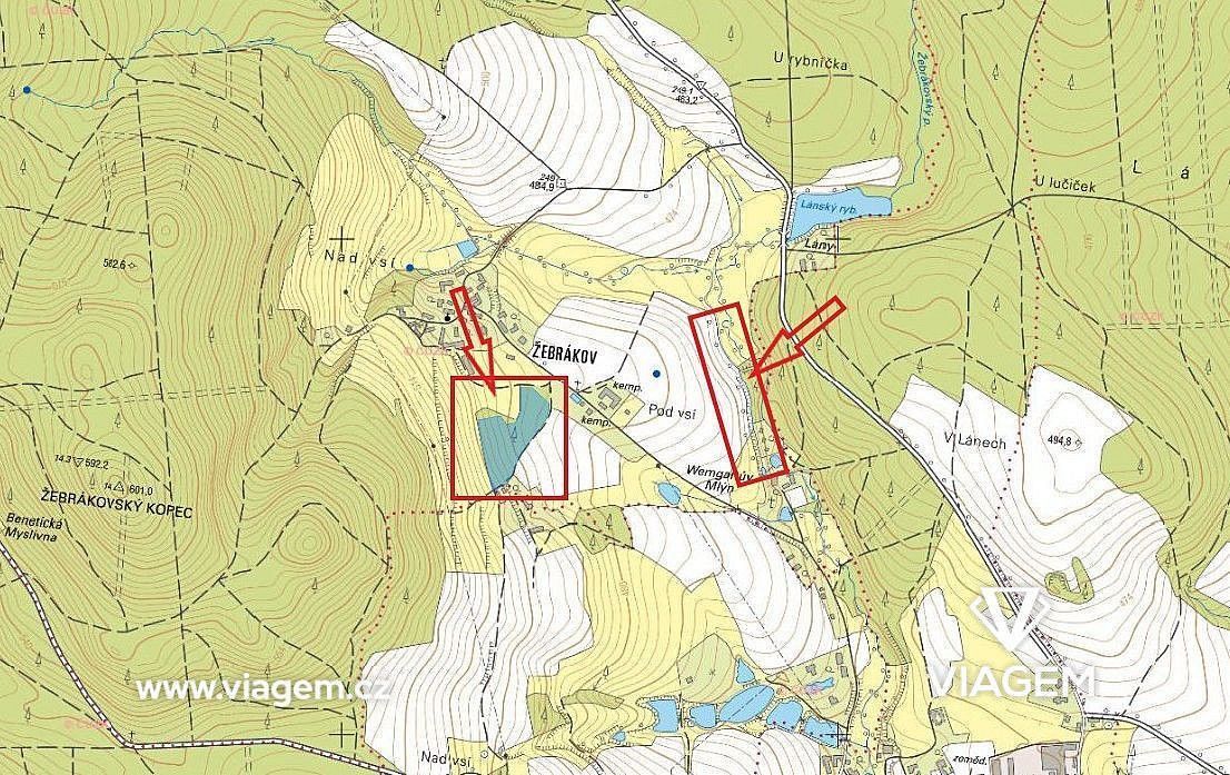 Les · Světlá nad Sázavou, okres Havlíčkův Brod - 4