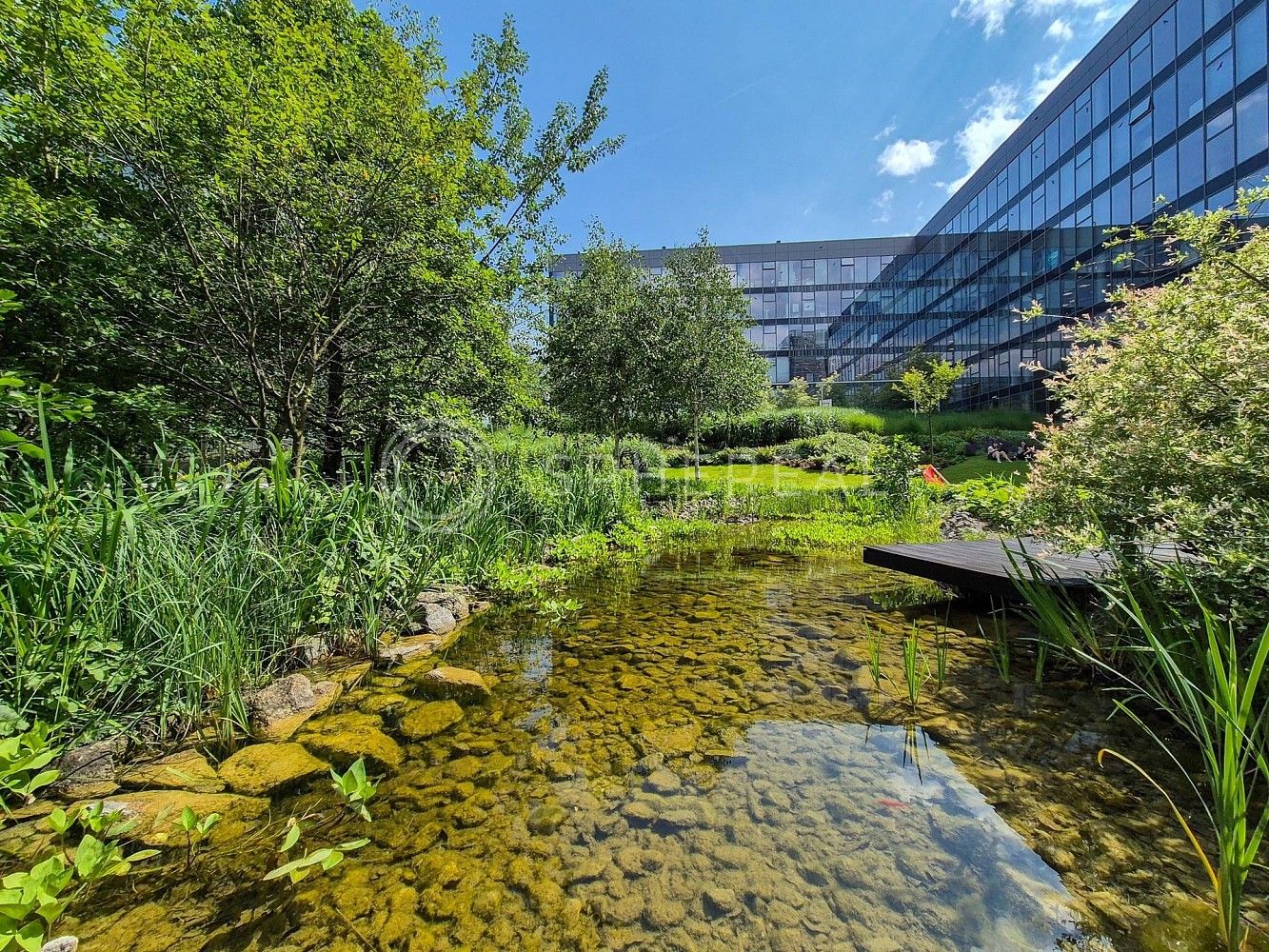 Kancelář · 446 m² · Brno - Starý Lískovec, okres Brno-město, Jihomoravský kraj - 4