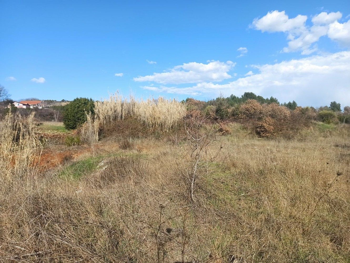 Pozemek pro bydlení, 2 937 m²