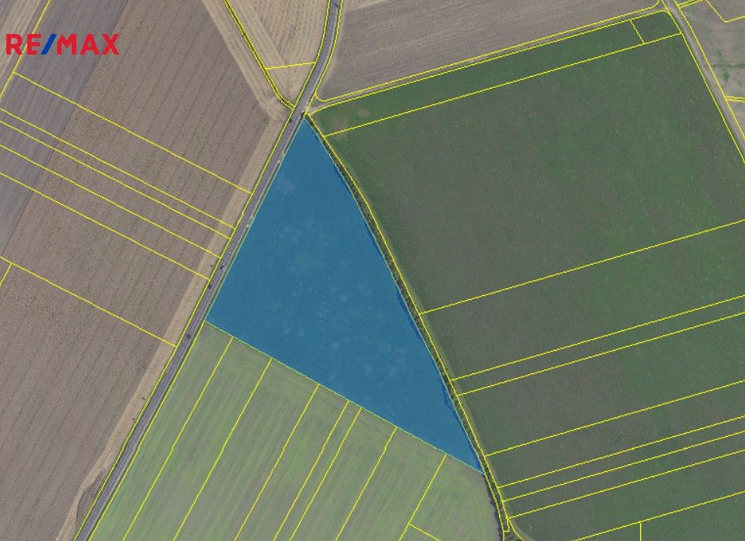 Prodej zemědělský pozemek - Kněžice, 40 m²