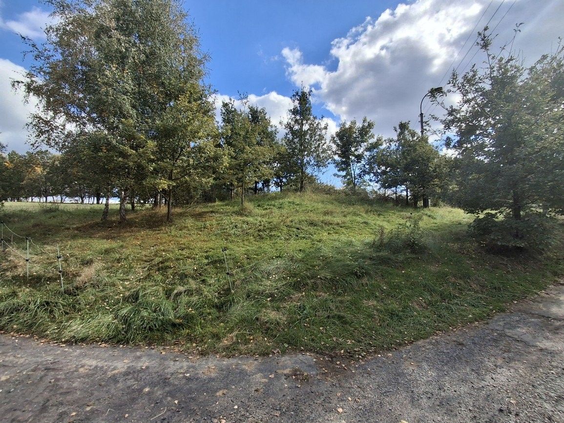 Prodej pozemek pro bydlení - Nový Kostel