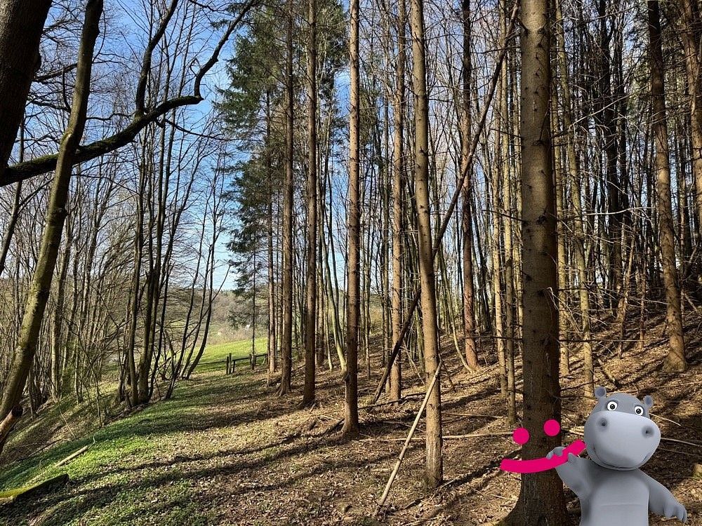 Lesy, Luhačovice, okres Zlín, Zlínský kraj - 2