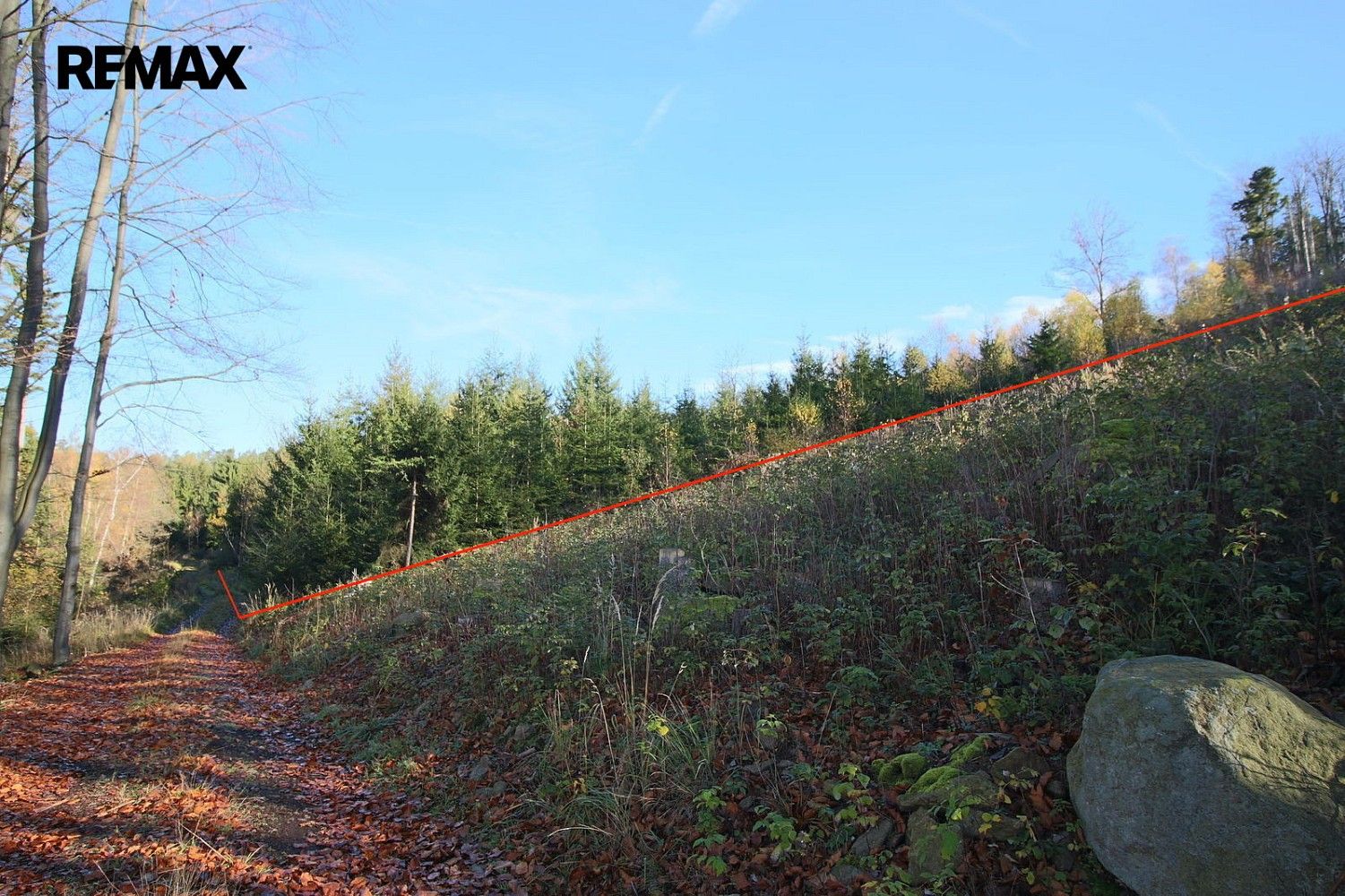 Les · Myslív, okres Klatovy, Plzeňský kraj - 3