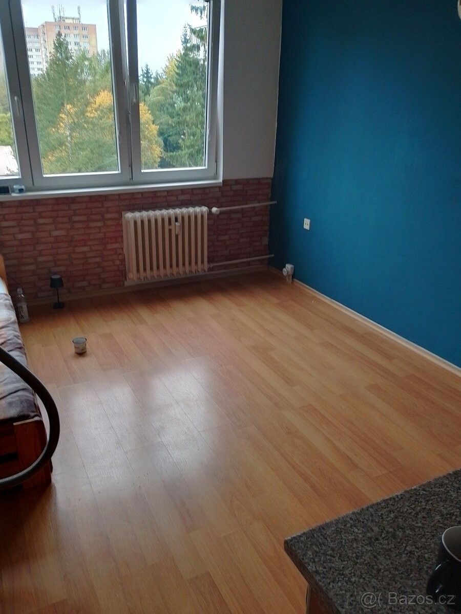 Byty, České Budějovice, 370 04