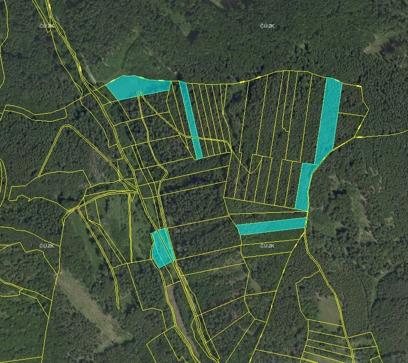 Prodej les - Moravská Třebová, 571 01, 29 200 m²