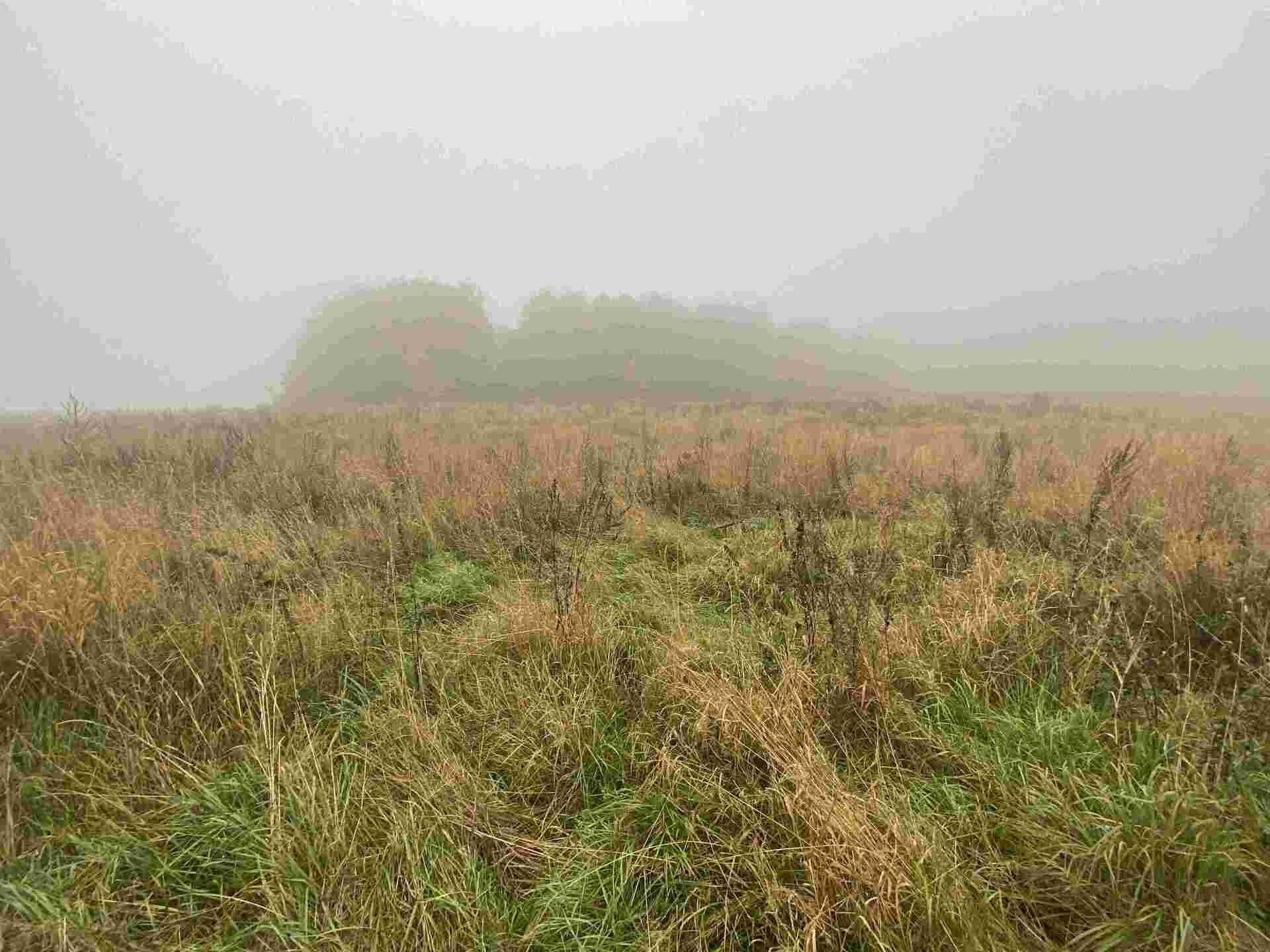 Prodej zemědělský pozemek - Verneřice, 22 m²