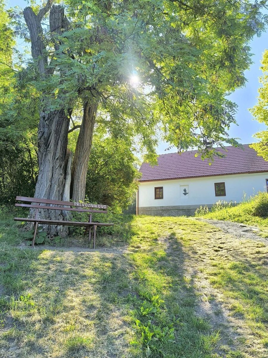 Pronájem chata - Branov - Branov, Středočeský kraj - 2