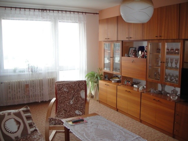 Byt 1+1, 45 m²