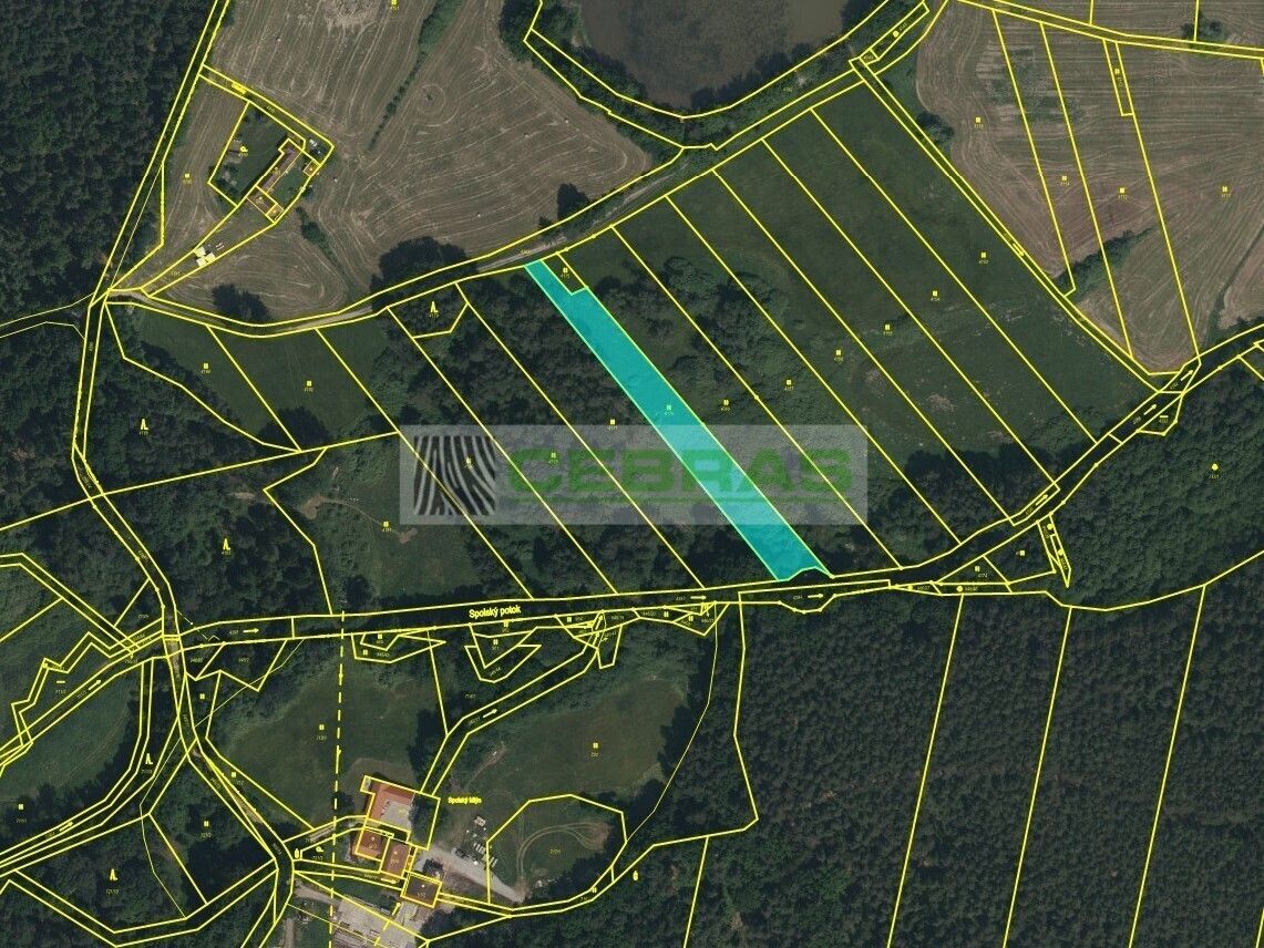 Louky, Třeboňská, Třeboň, 3 029 m² - 2