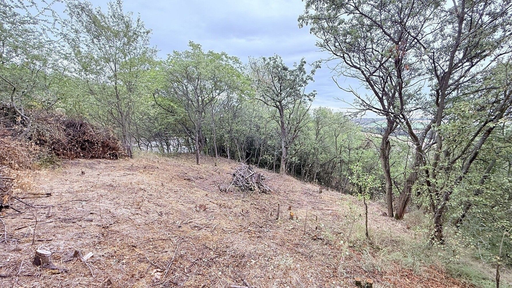 Prodej zahrada - Brandýsek, okres Kladno - 5