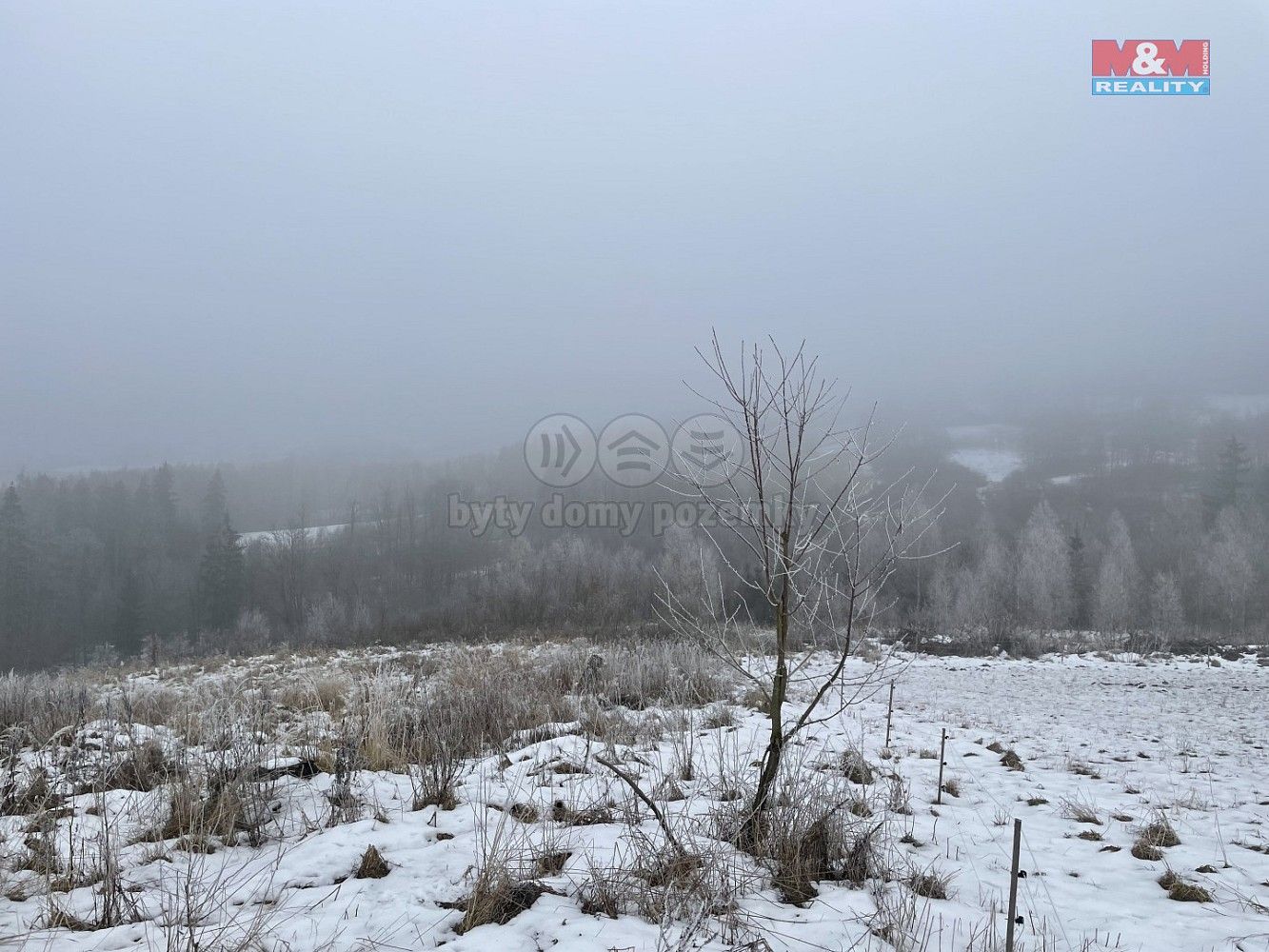 Lesy, Železný Brod, okres Jablonec nad Nisou, Liberecký kraj - 2