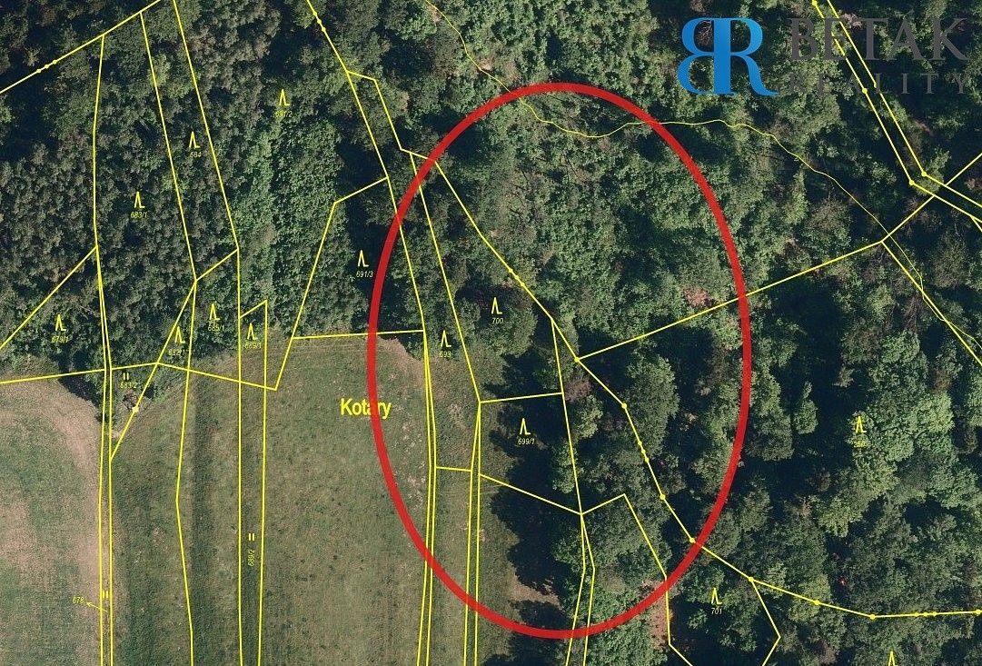 Prodej les - Hranice - Hranice IX-Uhřínov, okres Přerov, Olomoucký kraj - 2