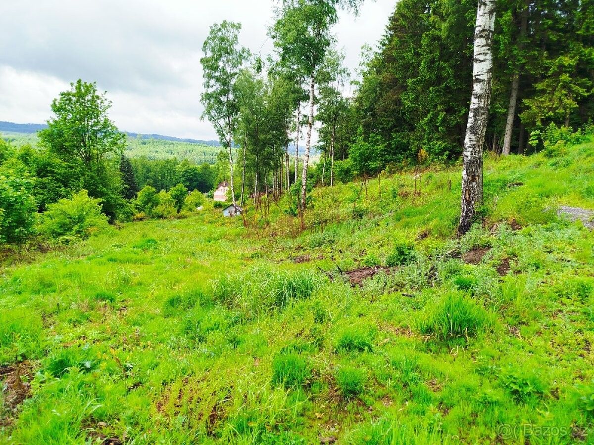 Prodej zahrada - Strmilov, 378 53