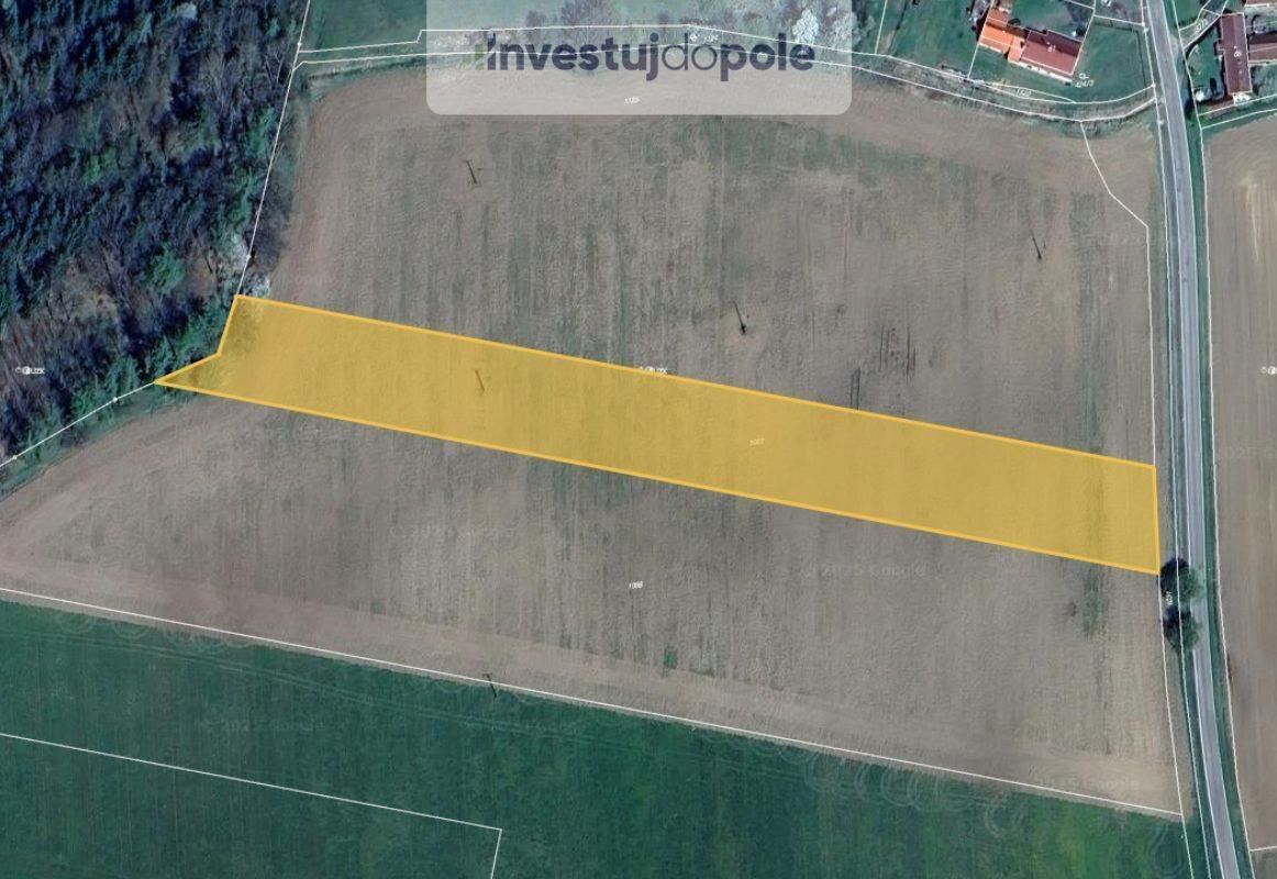 Zemědělské pozemky, Údraž, Albrechtice nad Vltavou, 10 056 m²