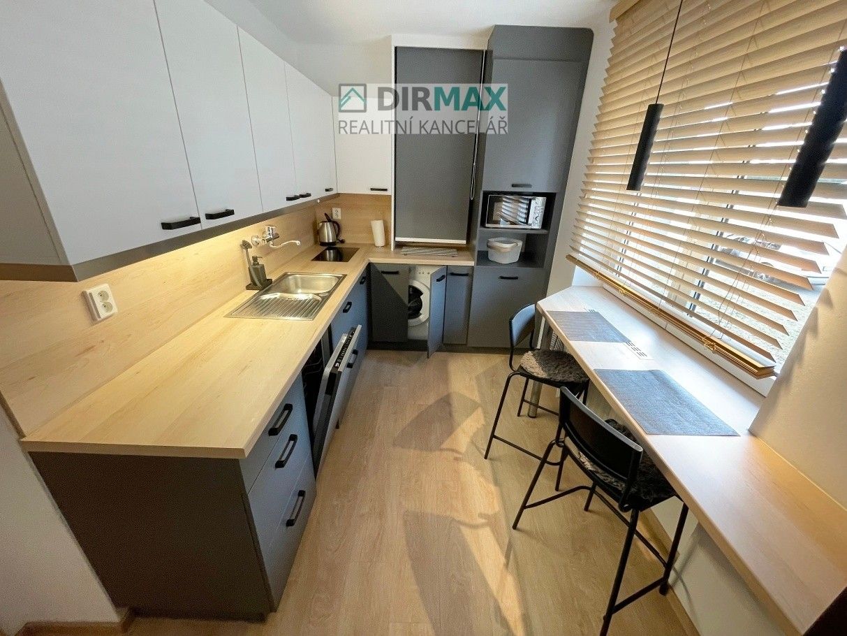 Pronájem byt 1+1 - Barákova 554, Plzeň, 45 m²