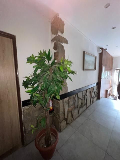 2+1, Palackého, Ostrava, 68 m²