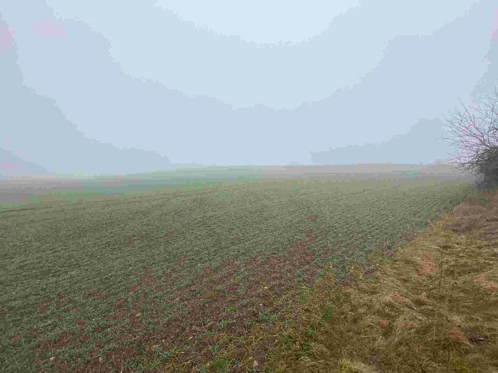 Ostatní