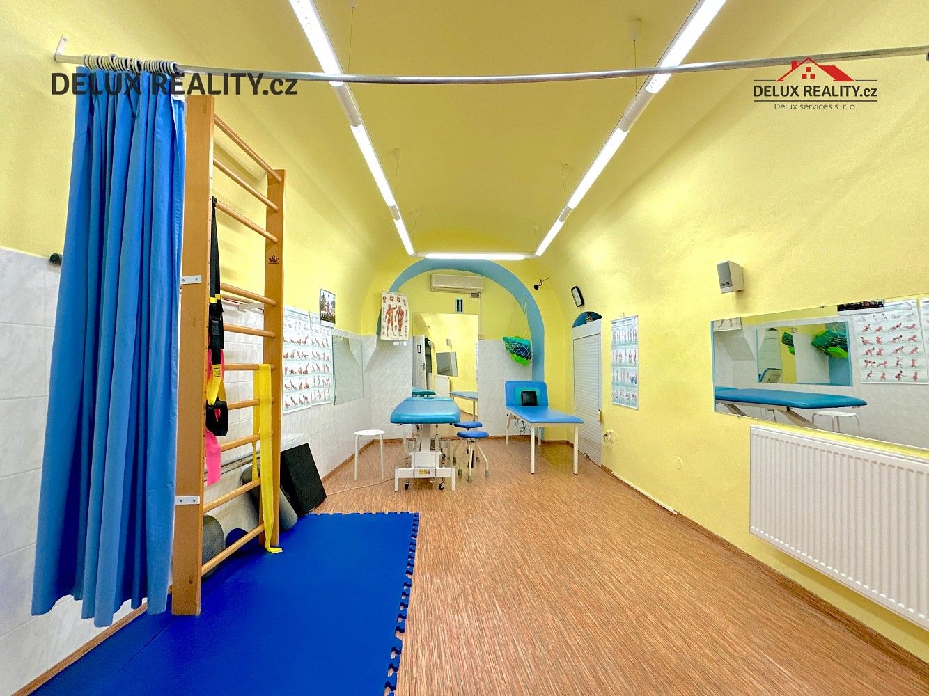 Prodej dům - Divišovo náměstí, Znojmo, 337 m² - 5