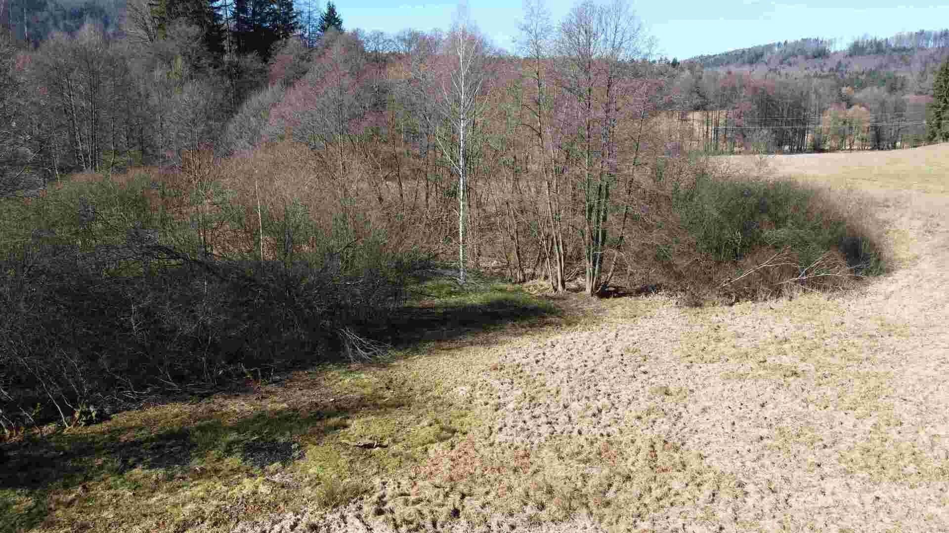 Pozemek · 18 464 m² · Vernéřovice - 4