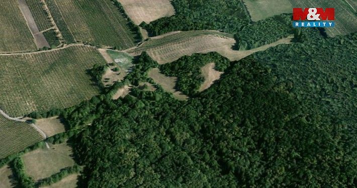 Zemědělský pozemek · Horní Věstonice, okres Břeclav, Jihomoravský kraj - 4