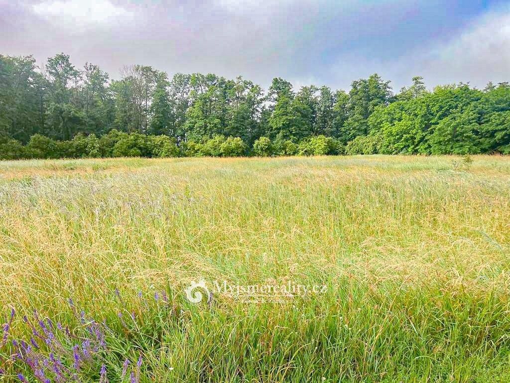 Pozemek pro bydlení · Horní Dunajovice, 671 34 - 3
