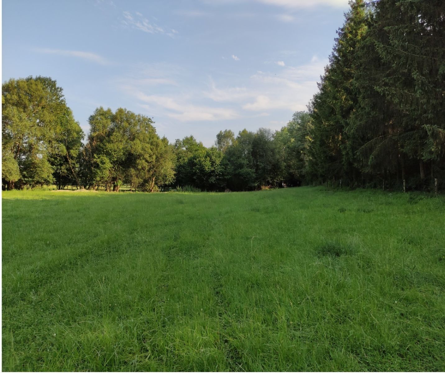 Louky, Vysoké Mýto - Vysoké Mýto, Pardubický kraj - 2