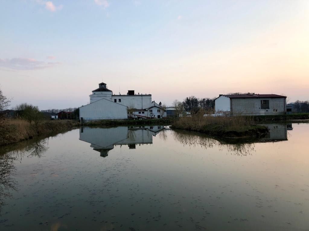 Prodej zemědělský objekt - Brniště Velký Grunov, 7 741 m² - 5