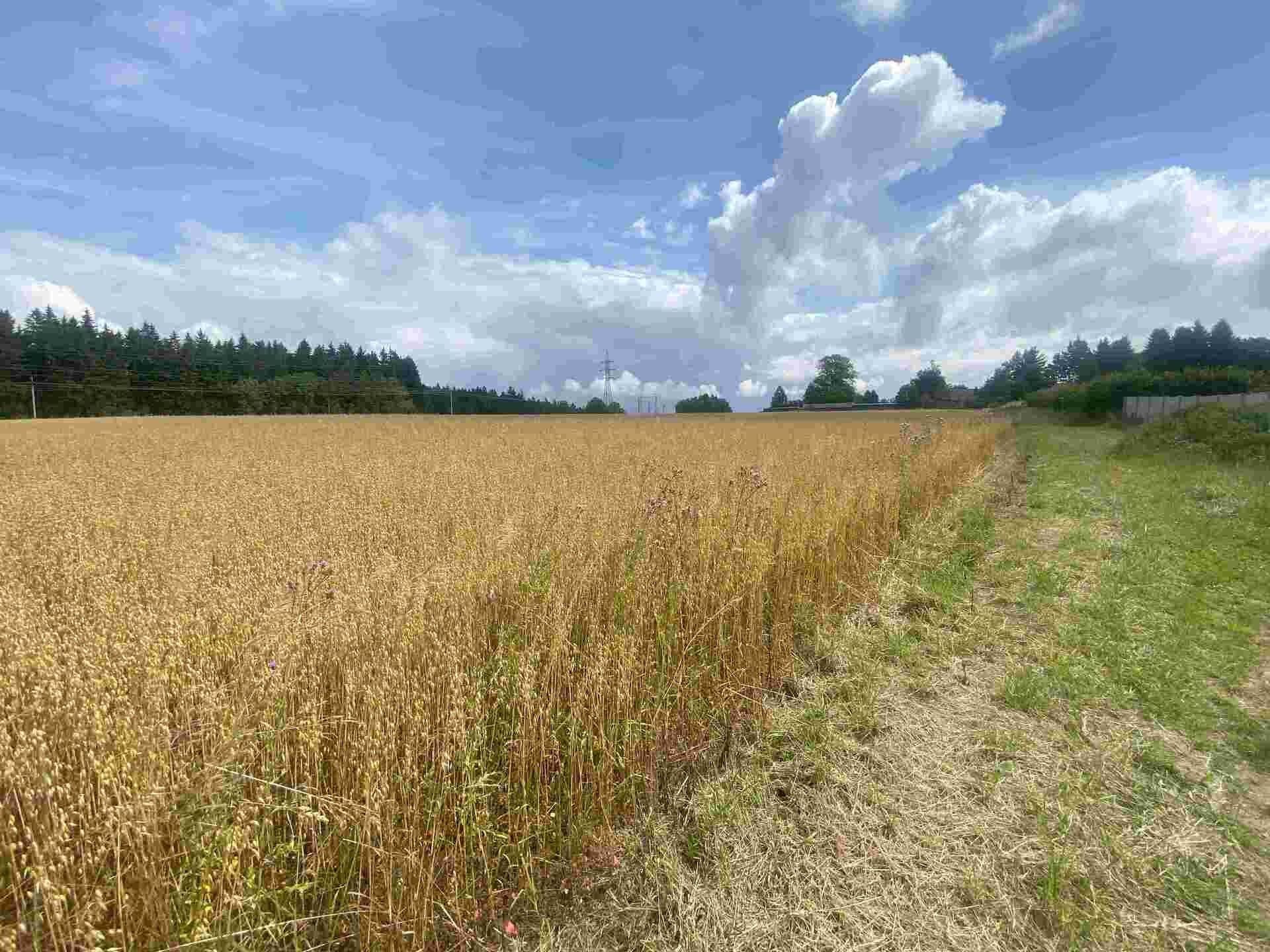 Prodej pozemek - Kamenná Horka, 6 m²