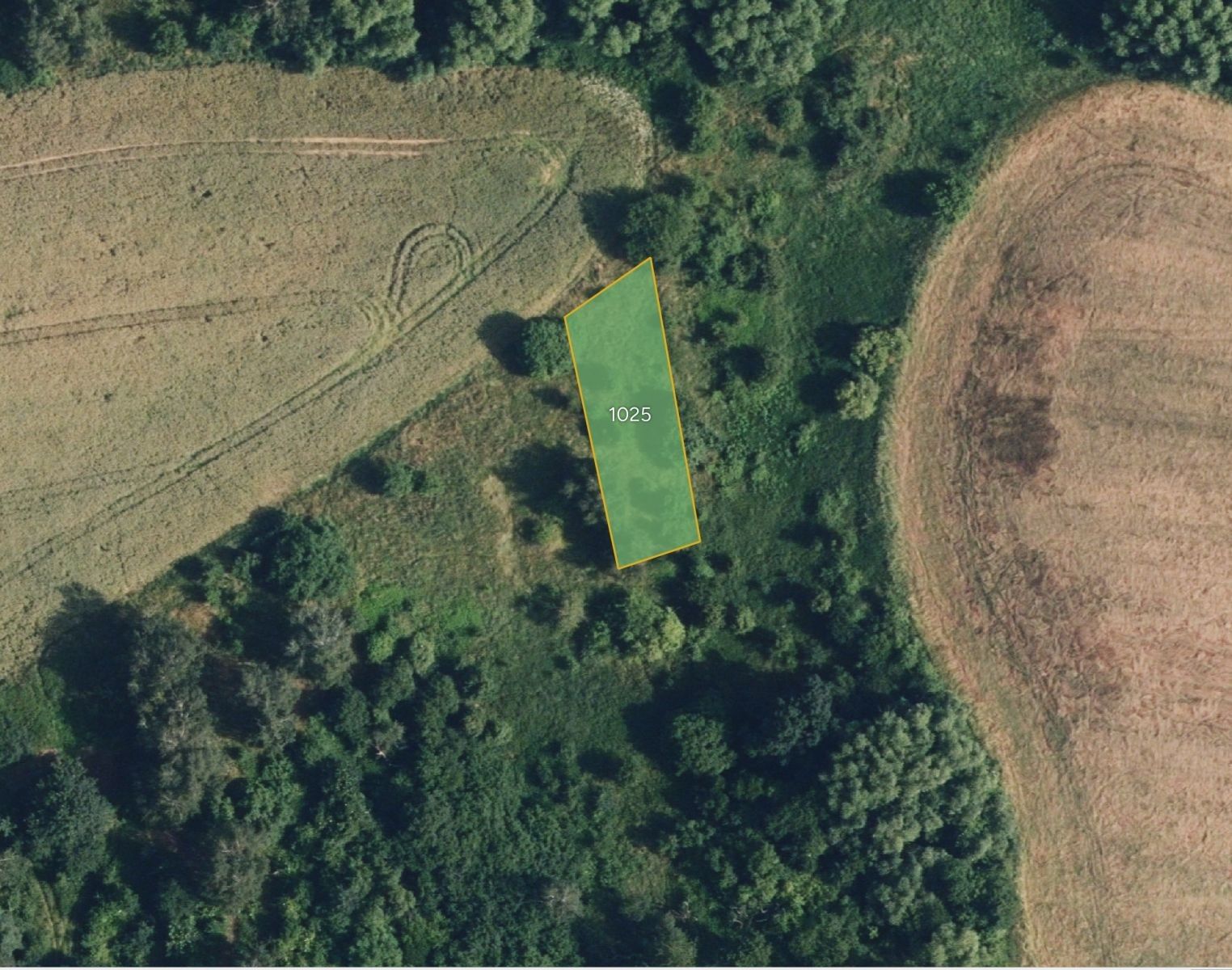 Louky, Prostějovičky - 2