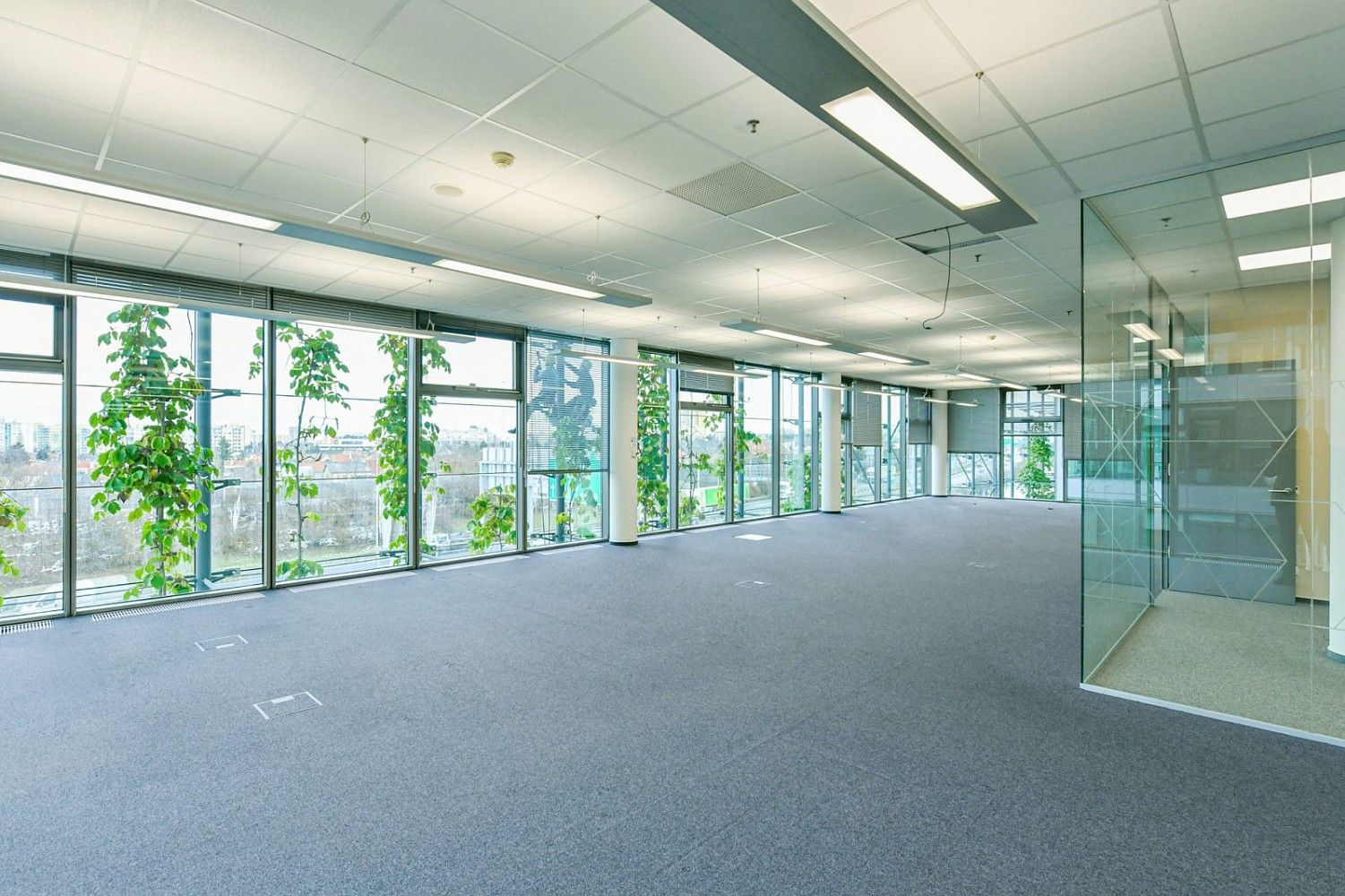 Kancelář · 1 470 m² · Vestec - 3