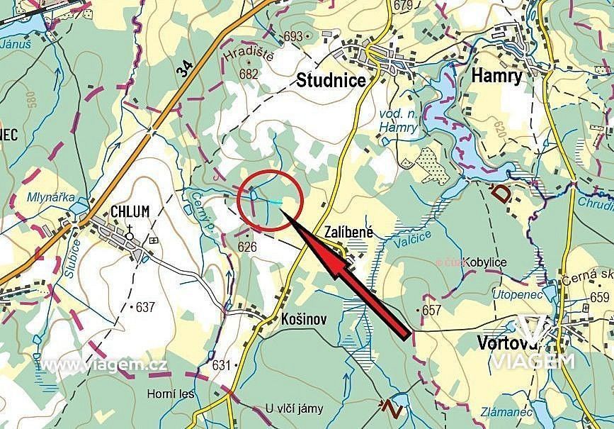 Les · Studnice, okres Chrudim, Pardubický kraj - 4