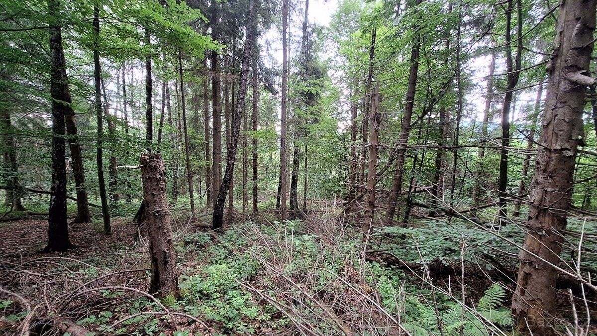 Pozemky pro bydlení, Bystřice nad Olší, 739 95 - 2