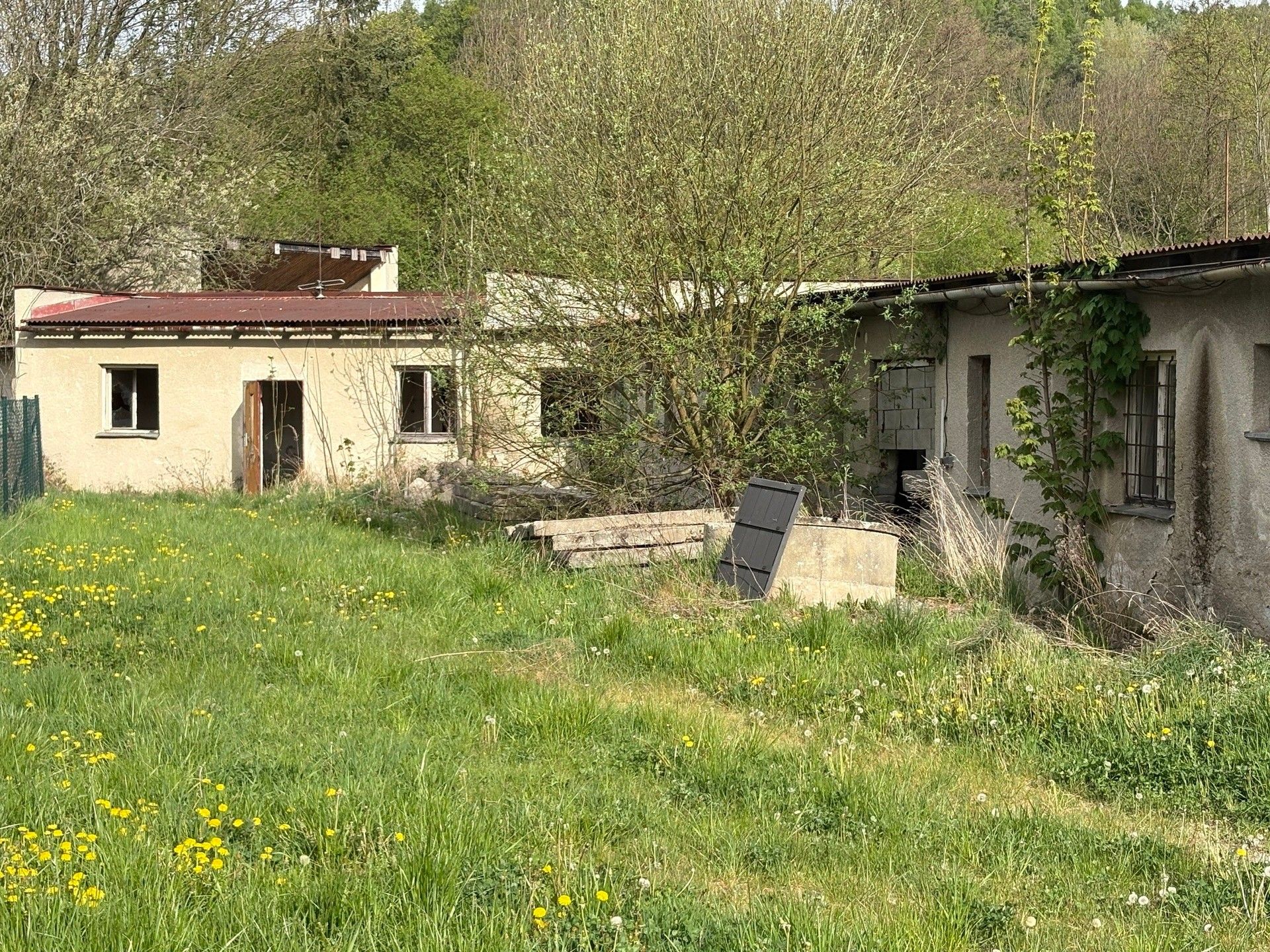 Nemovitost · 700 m² · Brníčko - 4