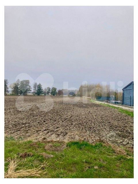 Zemědělské pozemky, Štítina