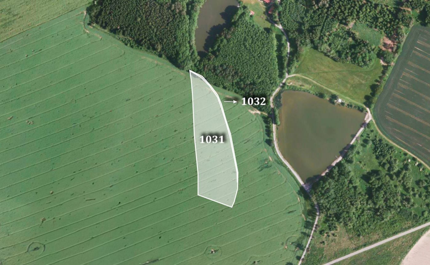 Prodej zemědělský pozemek - Miličín, 10 648 m²