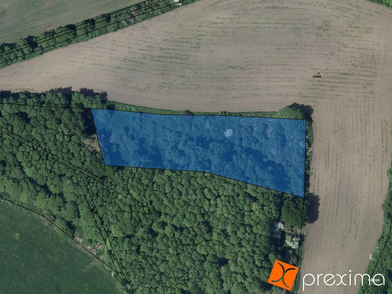 Prodej les - Měrunice, okres Teplice, Ústecký kraj - 1