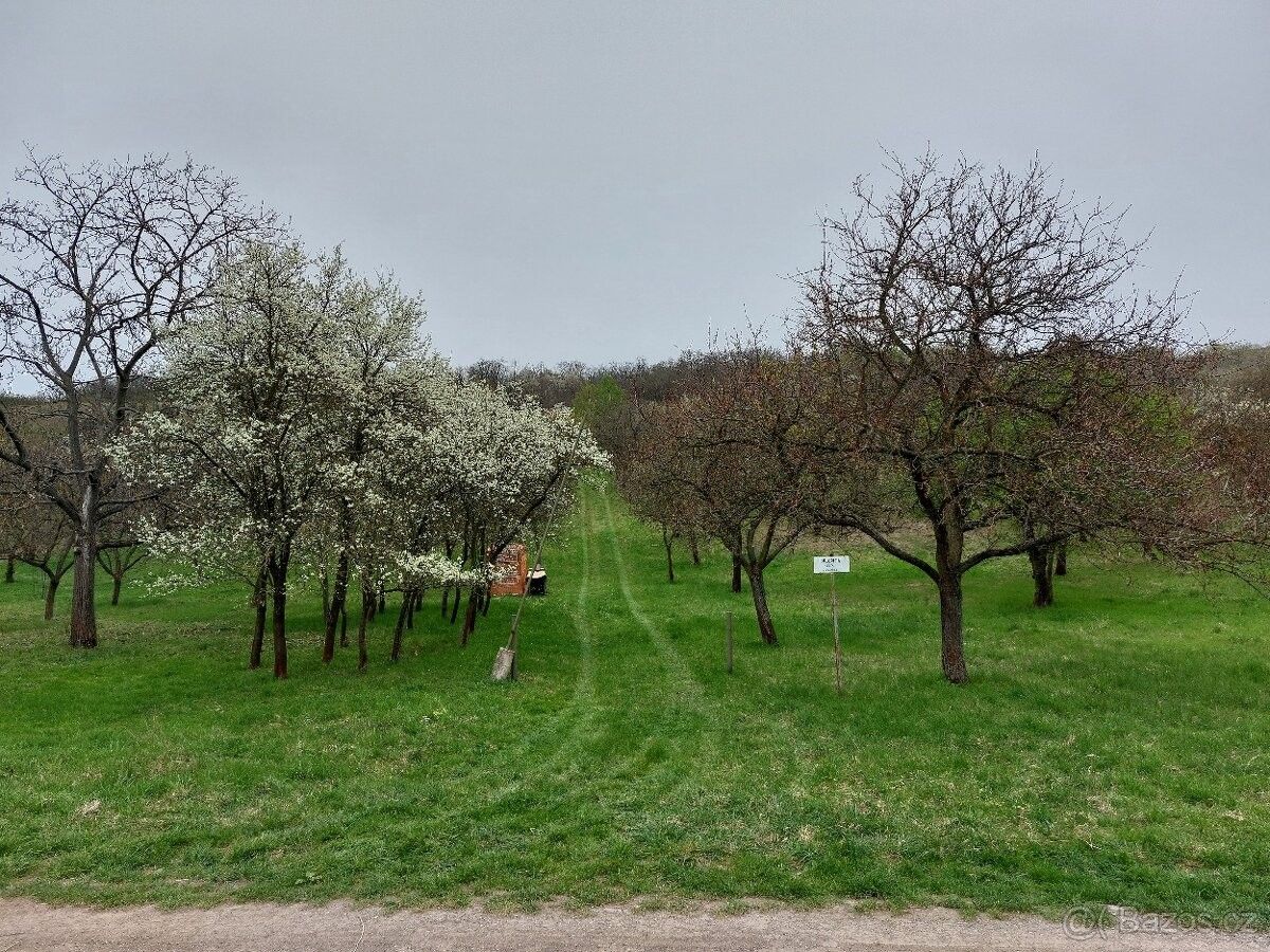 Pozemky pro bydlení, Blučina, 664 56