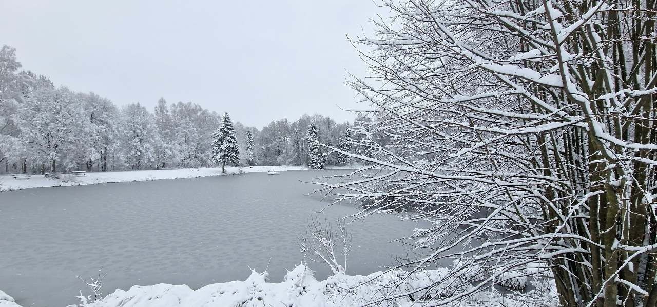 Chata · Lipová-lázně - Dolní Lipová, Olomoucký kraj - 3