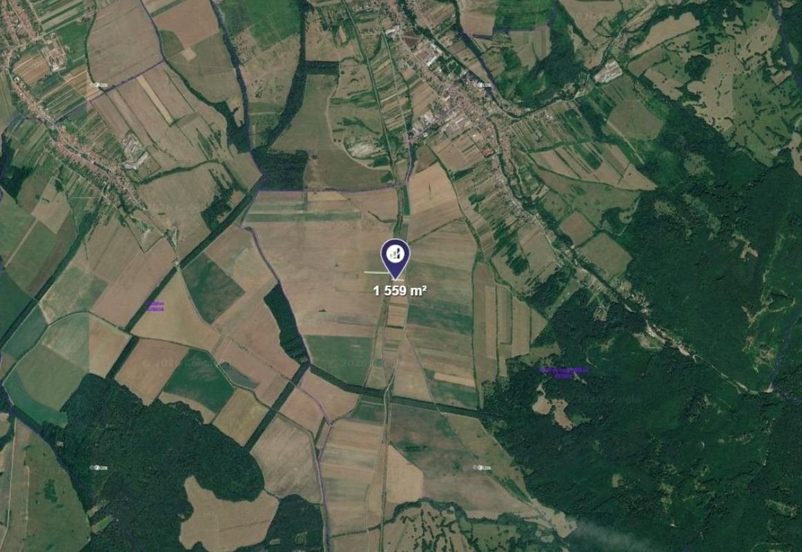 Zemědělské pozemky, Javorník, 1 559 m² - 2