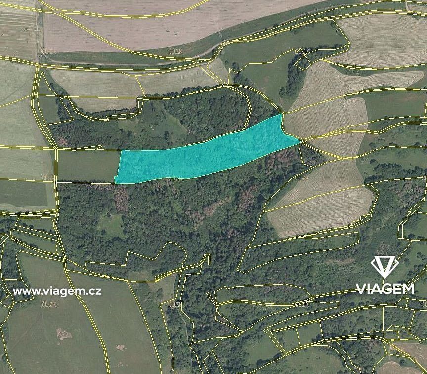 Prodej les - Velká Bukovina, okres Děčín, Ústecký kraj - 2