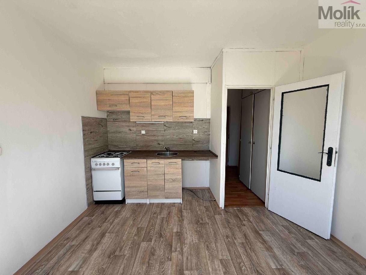 1+1, B. Němcové, Litvínov, 35 m²