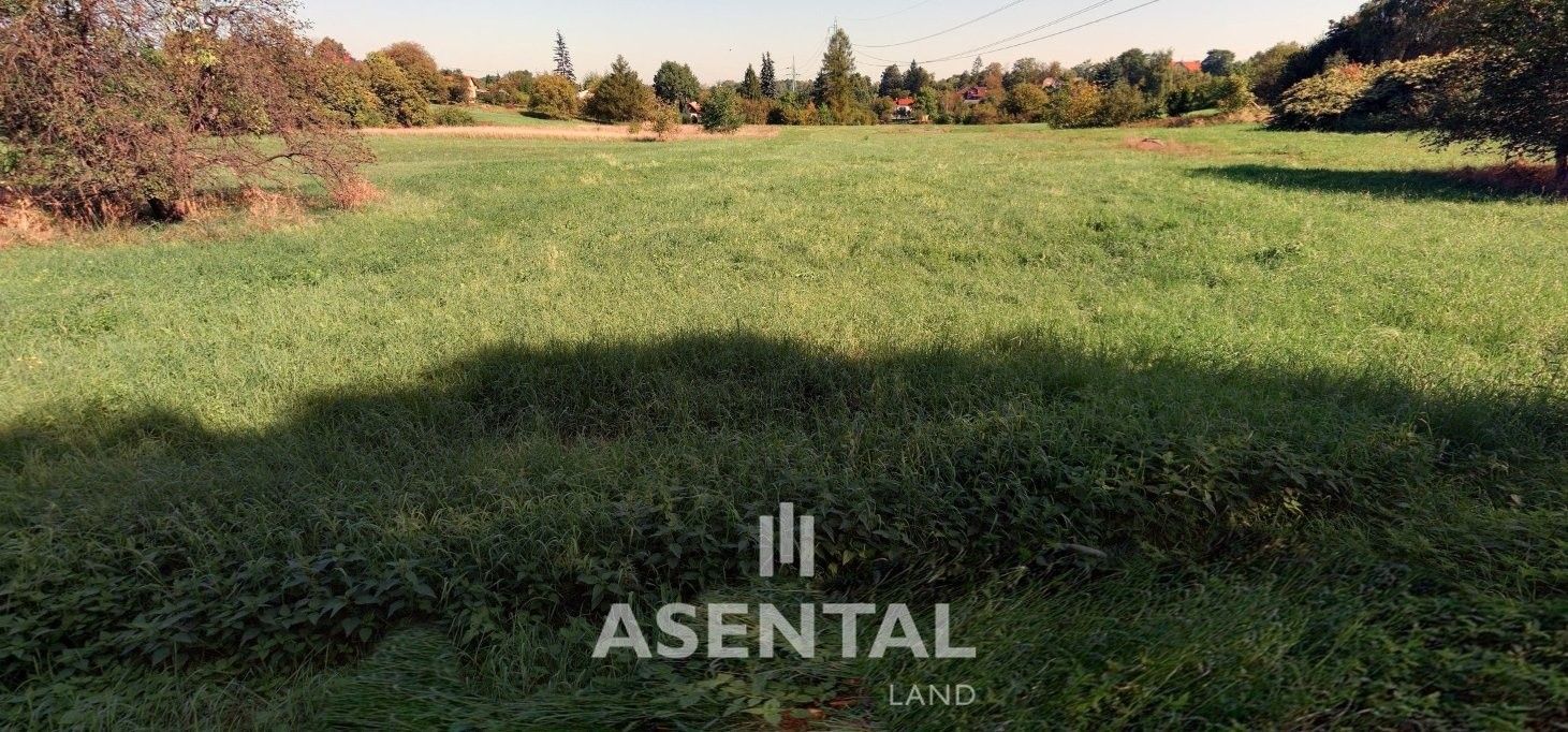 Ostatní, Josefa Holuba, Petřvald - 1