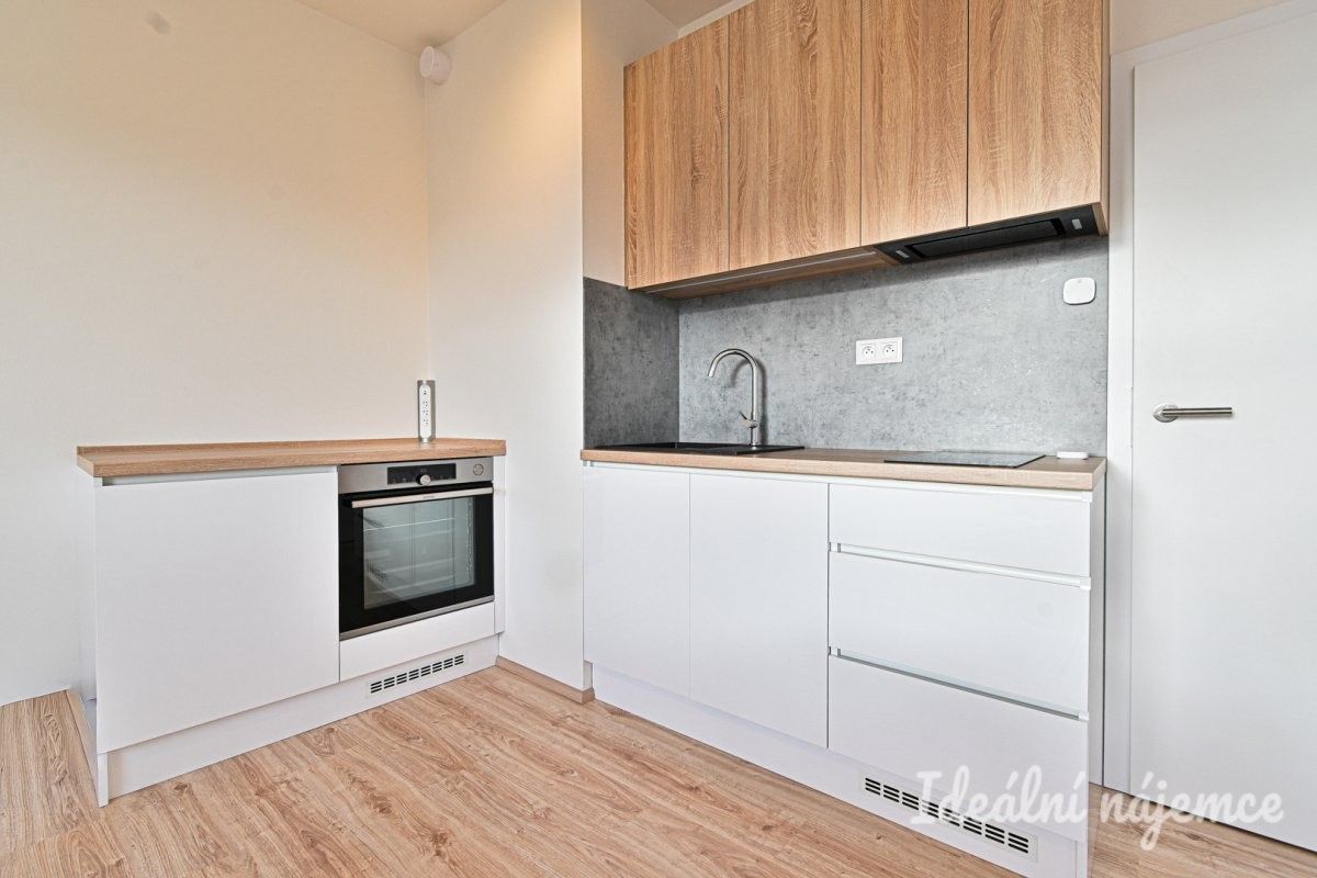 1+kk, Křenová, Brno, 28 m²