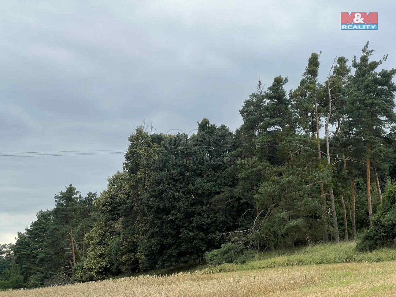 Lesy, Tři Dvory, okres Kolín, Středočeský kraj - 2