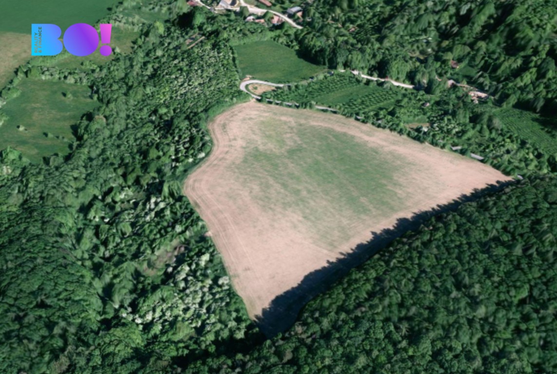 Zemědělský pozemek · 43 866 m² · Uherský Brod - 4