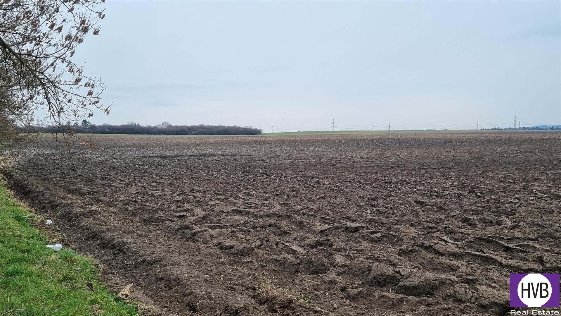 Prodej zemědělský pozemek - Číčovice, 14 m²