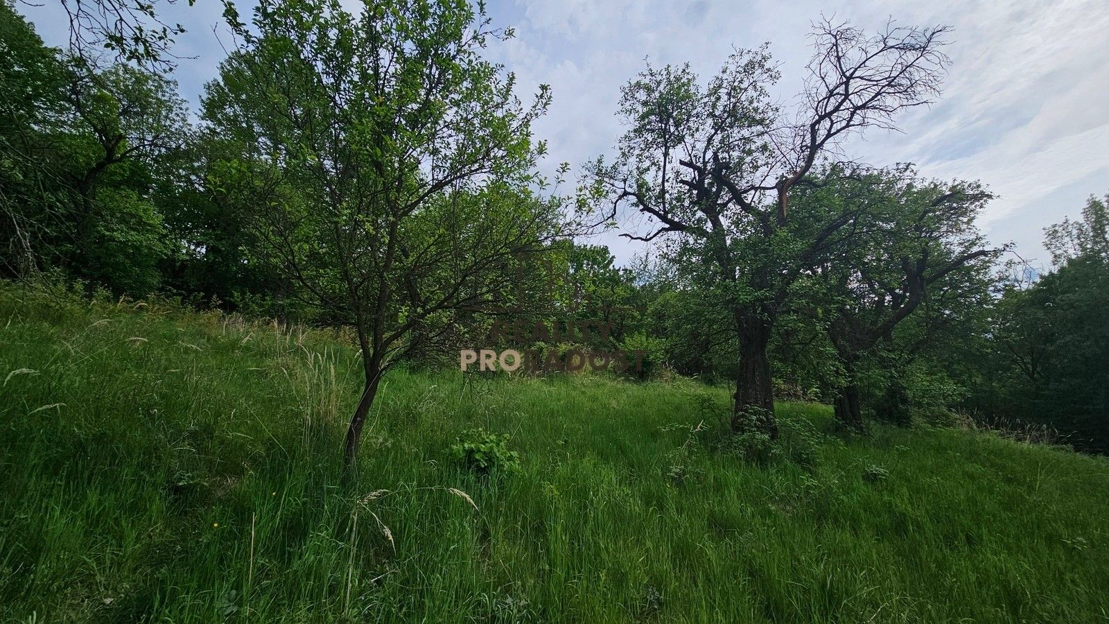 Pozemek · 4 253 m² · Koryčany - 4